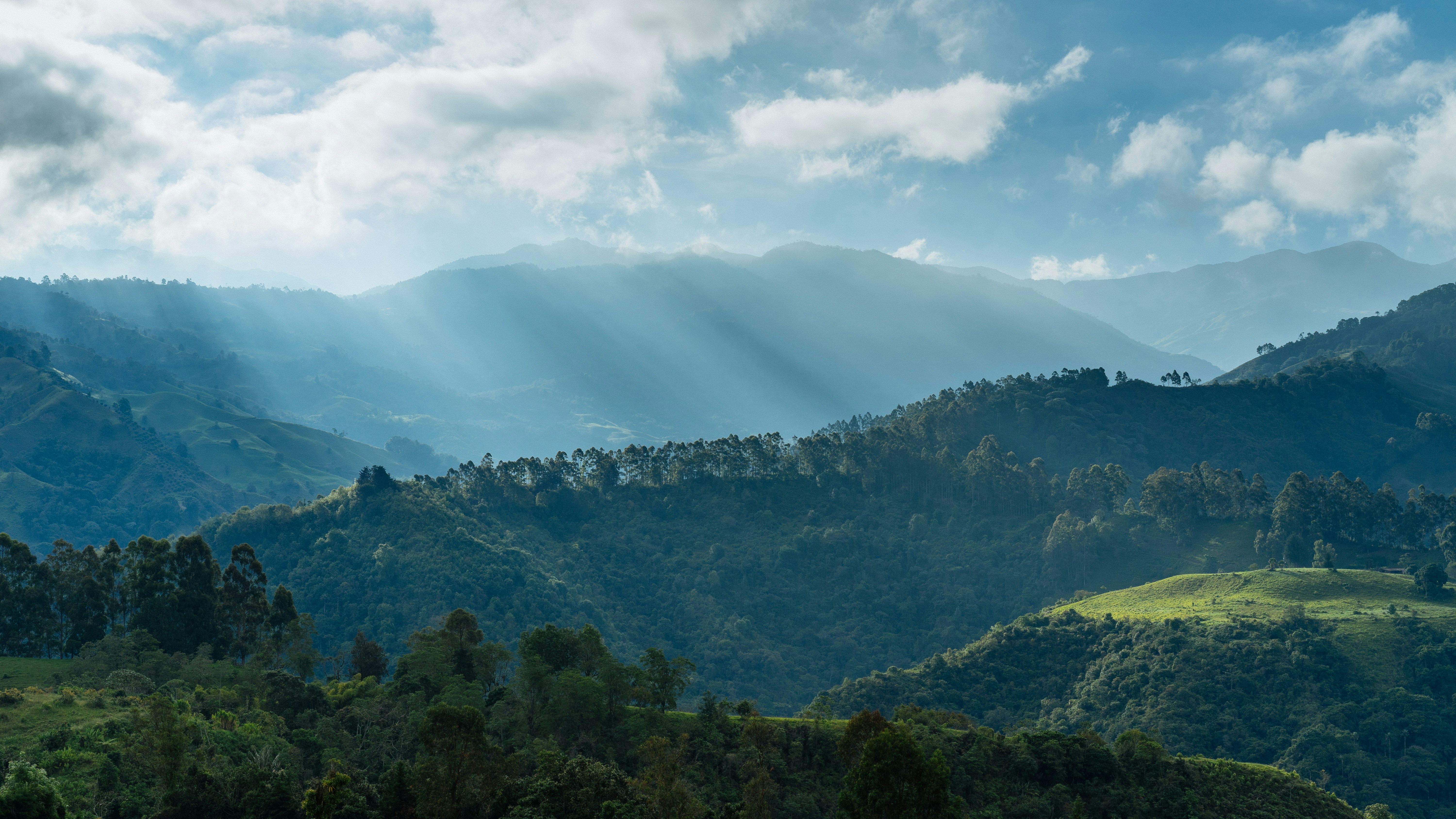 © Dan Gold/Unsplash
