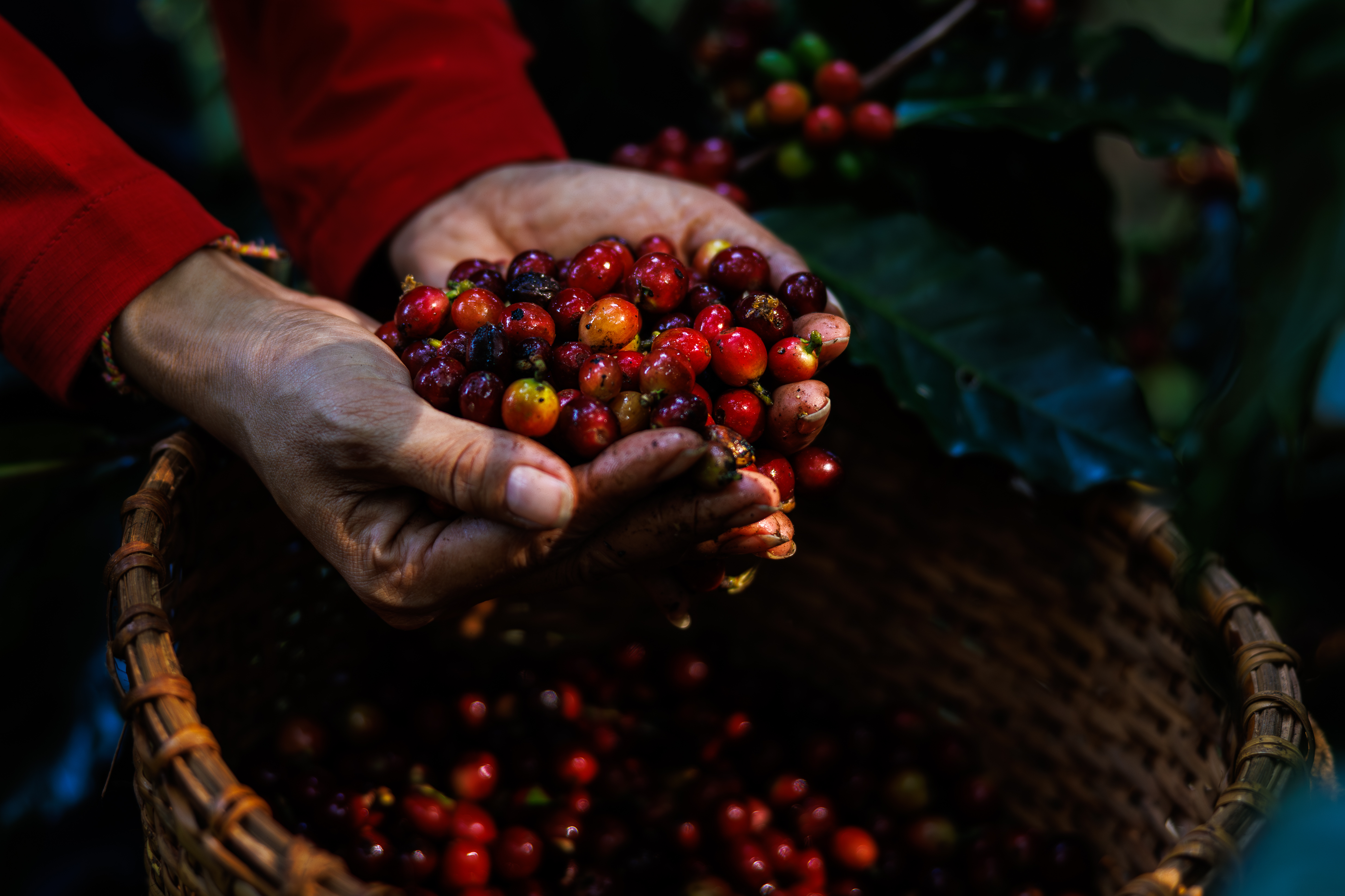 iStock-1929392328.jpg
