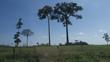 _1090959.JPG
