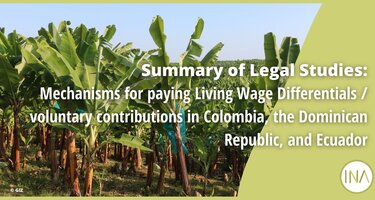 Summary_of_Legal_Studies_LW_Banana.png