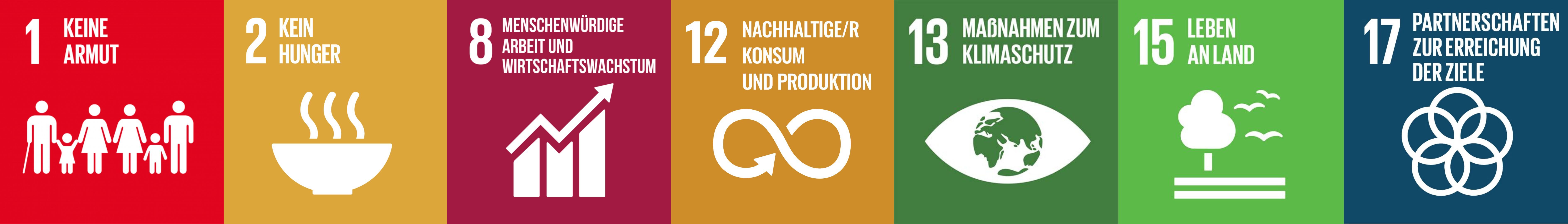 II_SASI_SDGs_DE.jpg