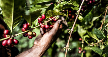 © GIZ / Silas Koch © GIZ