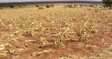 31-upland-crops-soil-erosion.JPG