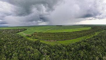 Fazenda_Barbosa_Foto_Fabio_Barong__1_.jpg