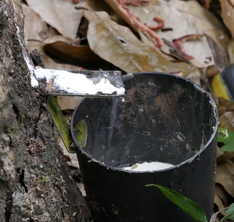 Gerhard Langenberger/ GIZ _1100113.JPG