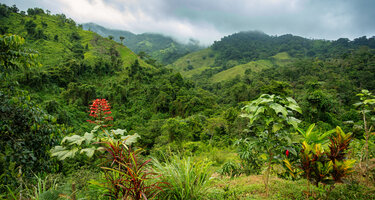 iStock-2150677348.jpg
