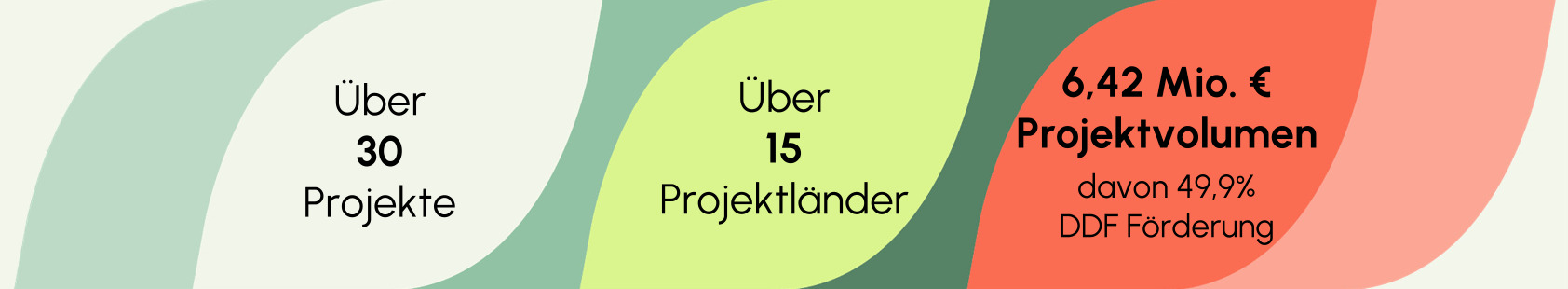DDF_Fast_Facts_Kacheln-3.png