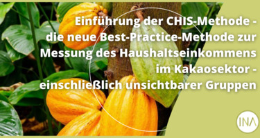 CHIS_Header_DE.png