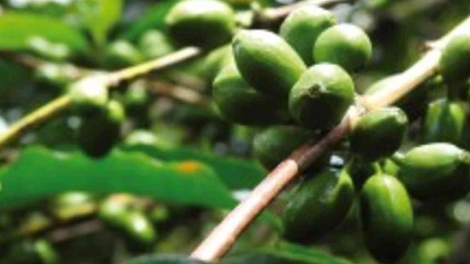 csm_Uganda_Kibinge_7efda56f8d.jpg