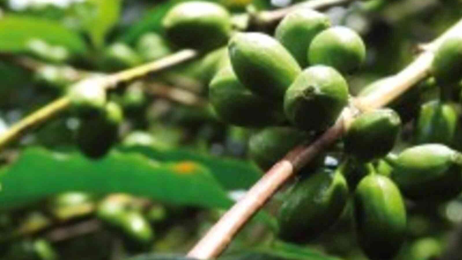 csm_Uganda_Kibinge_7efda56f8d.jpg