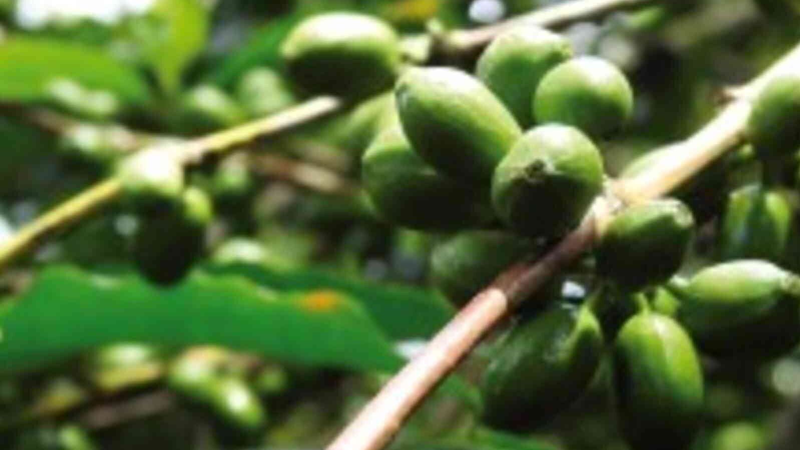 csm_Uganda_Kibinge_7efda56f8d.jpg