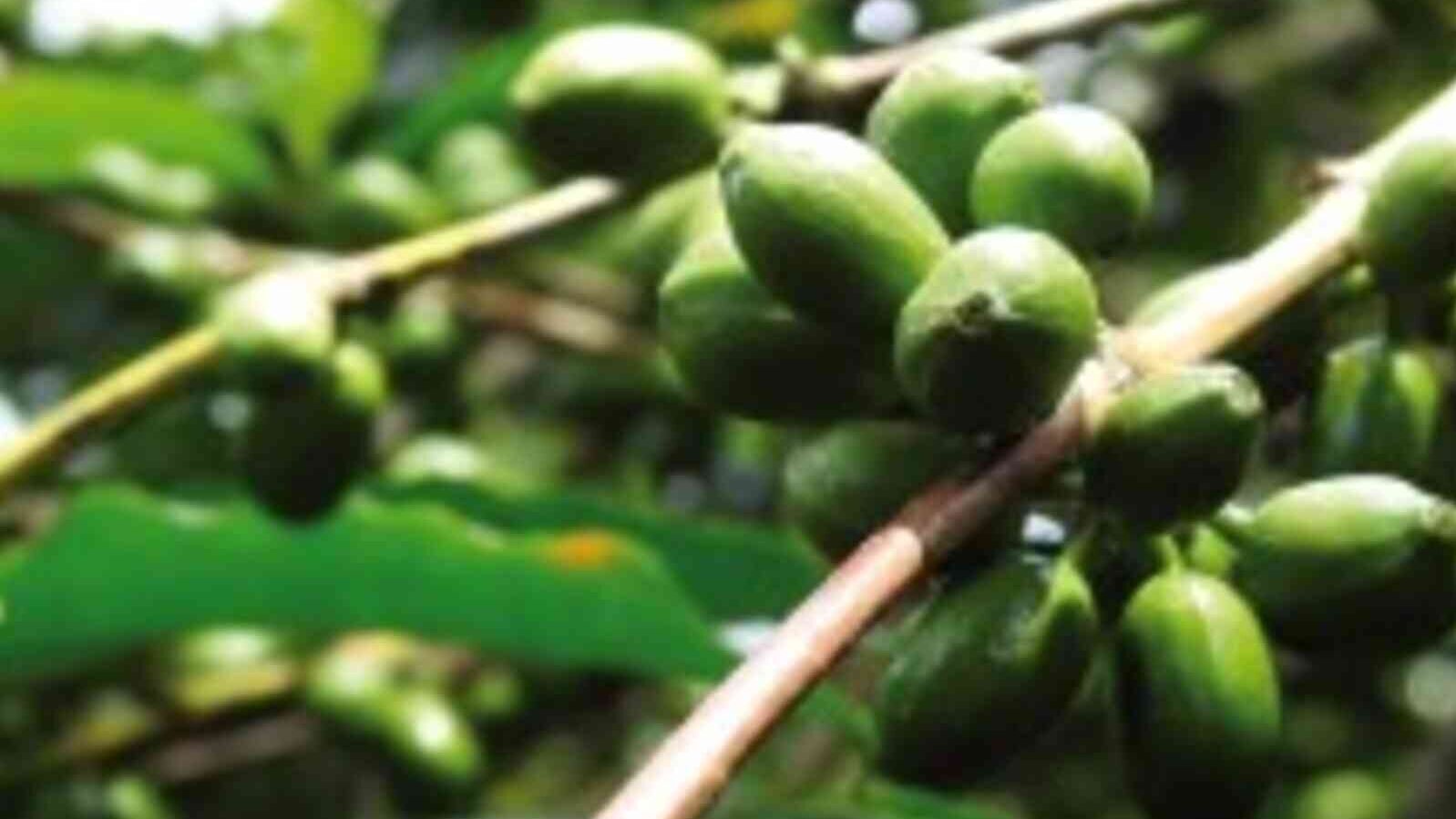 csm_Uganda_Kibinge_7efda56f8d.jpg