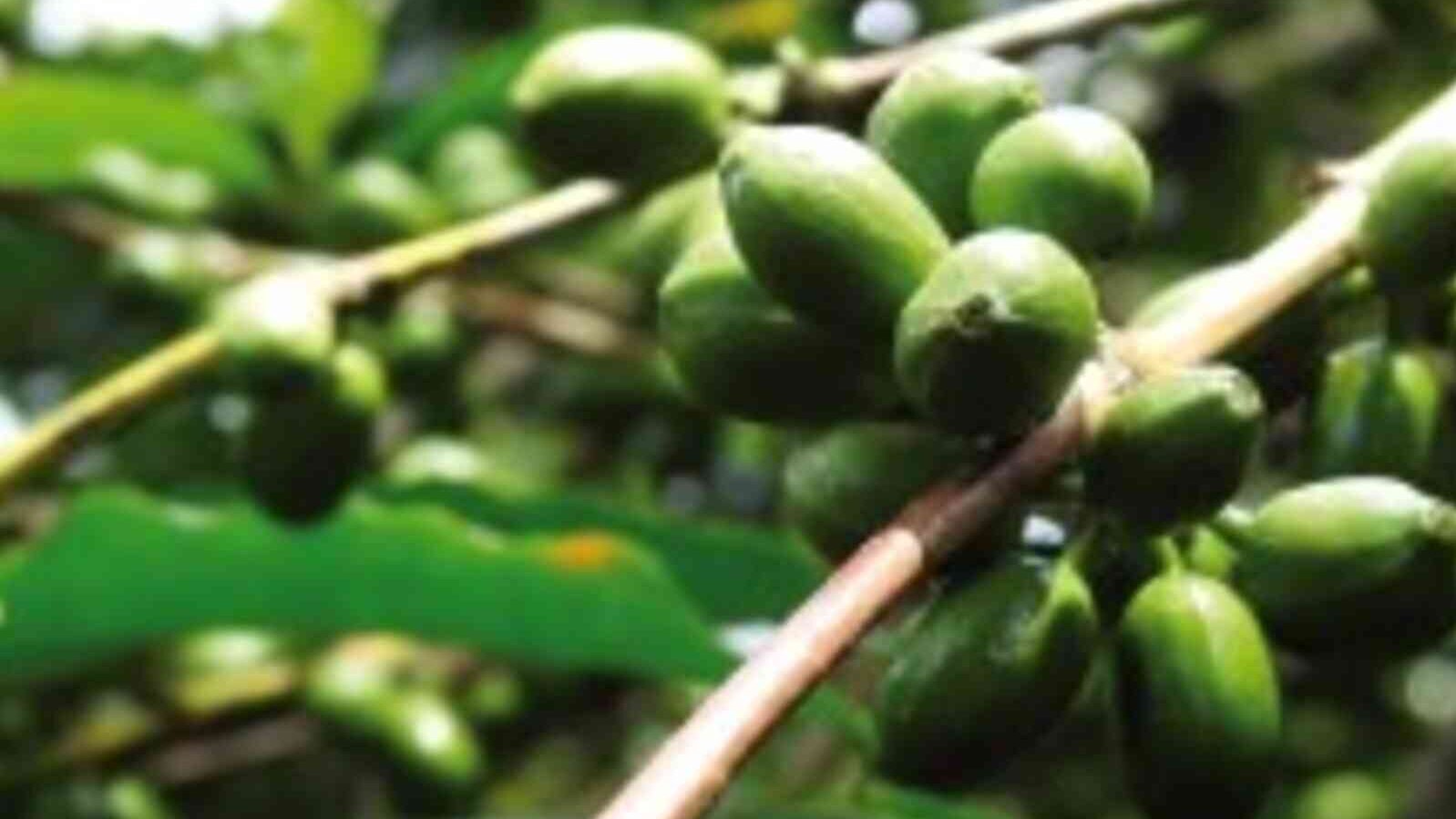 csm_Uganda_Kibinge_7efda56f8d.jpg
