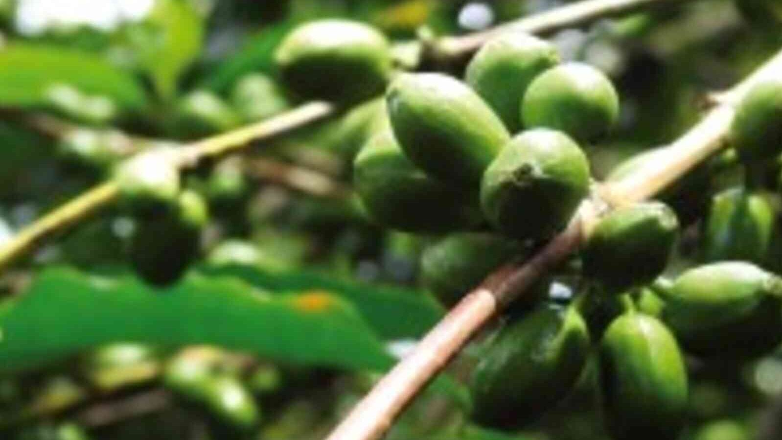 csm_Uganda_Kibinge_7efda56f8d.jpg