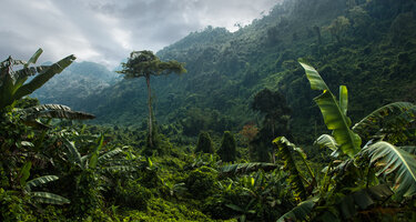 iStock-1281422567.jpg