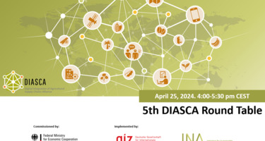 5._DIASCA_Roundtable_Header.png