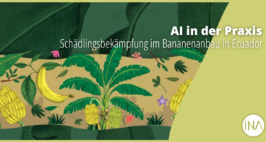 BananenDrone_DE.png