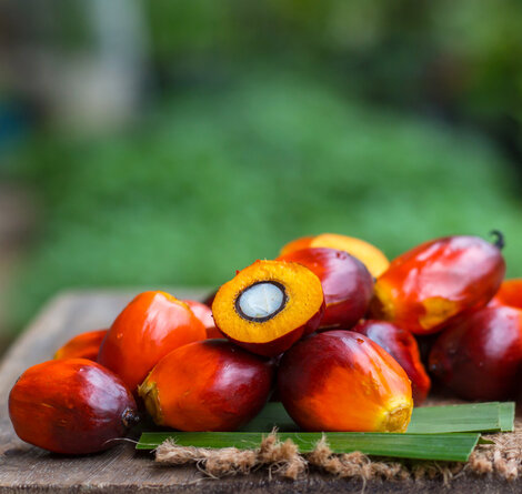 iStock-1084911690.jpg