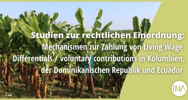 Studien_zur_rechtlichen_Einordnung_LW_Banane.png