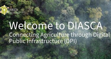 Welcome_to_DIASCA_Header1.png