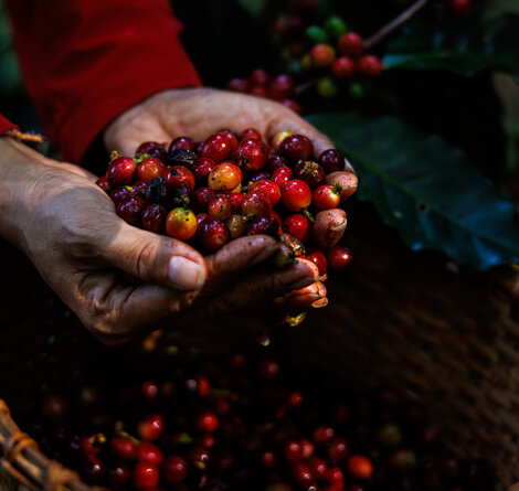 iStock-1929392328.jpg