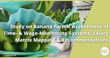 Study_Banana_Farms_EN.png