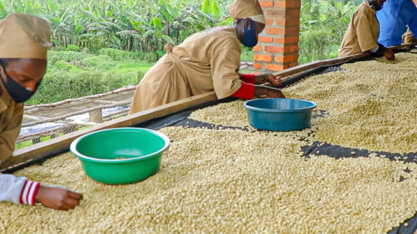 csm_Rwanda_GMAC_Photo_for_factsheet__1__4f70b6db11.jpg