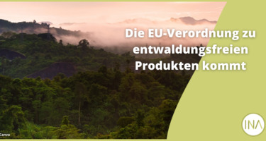 230516_news_EUDR-DE.png