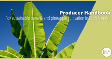 BananaHandbook_ENG.png