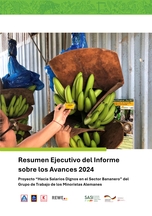 Resumen_Ejecutivo_del_Informe.jpg