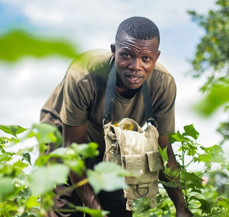 Pascal__organic_cotton_farmer_in_Glazoue__Benin._Credit_Gbemeho_Elise_Fanou.png