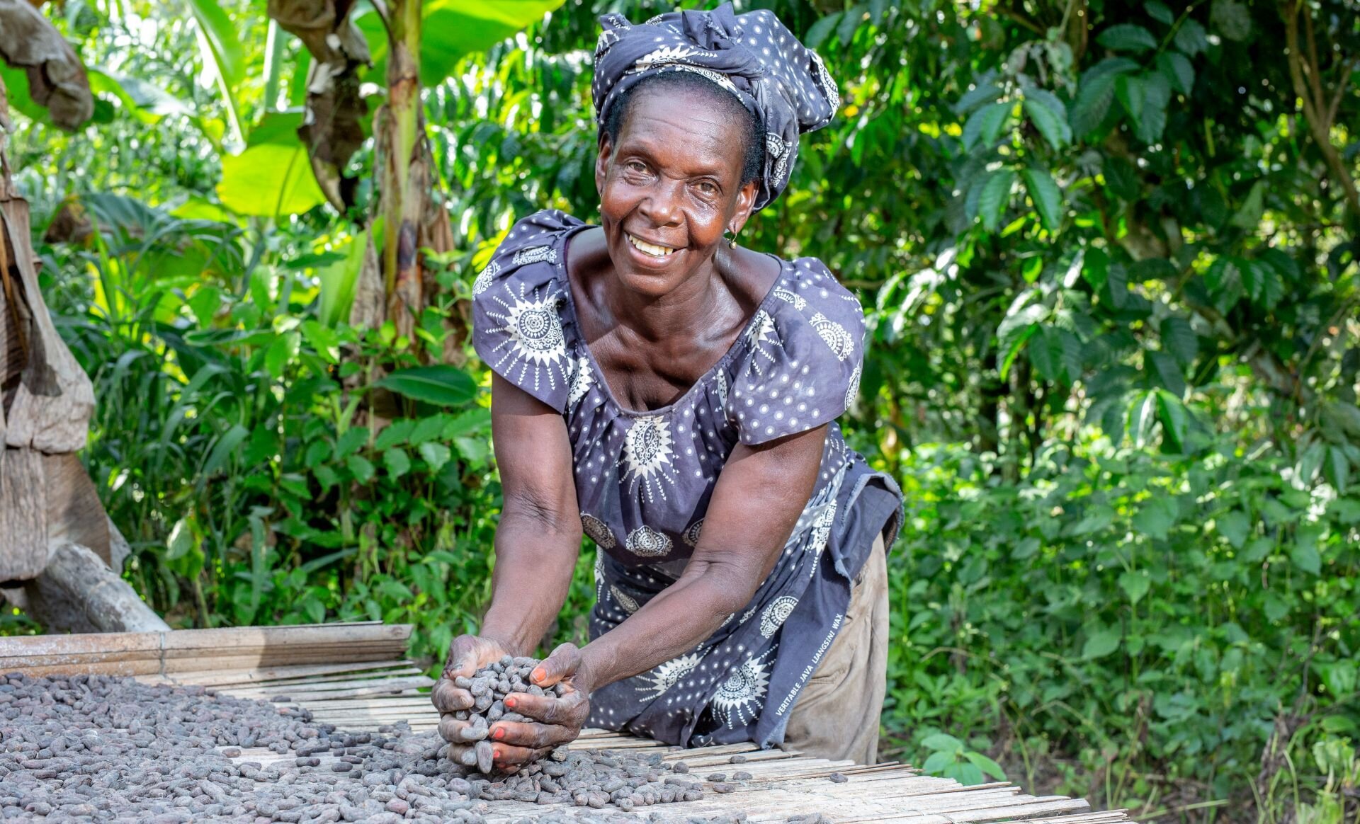 Pict_Drying_and_fermentation_cocoa_beans.jpg