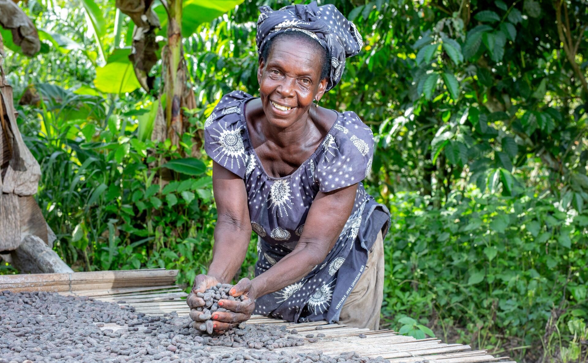 Pict_Drying_and_fermentation_cocoa_beans.jpg