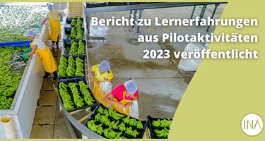 EH-AG_Lernerfahrungen_aus_2023_DE.png