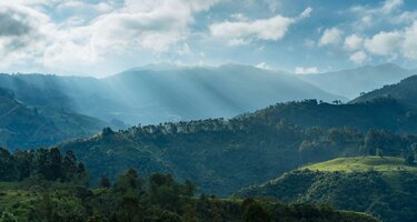 © Dan Gold/Unsplash