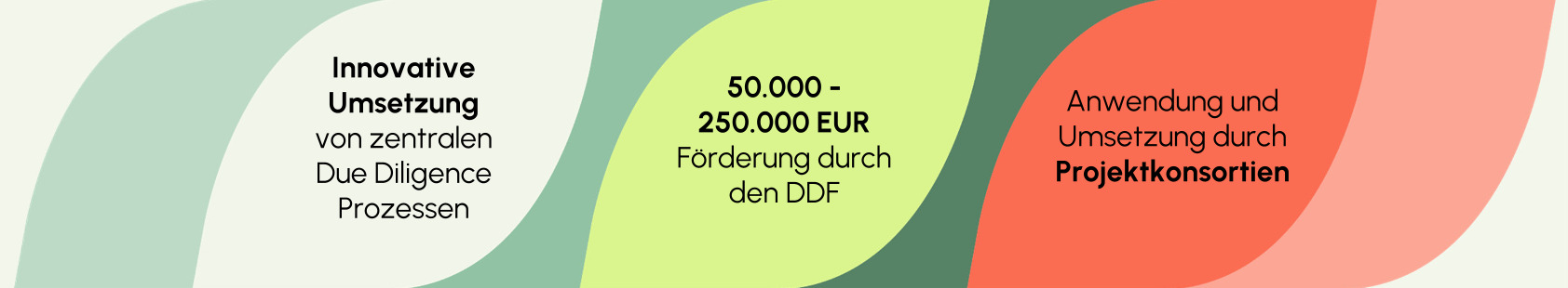 DDF_Fast_Facts_Kacheln-2.png