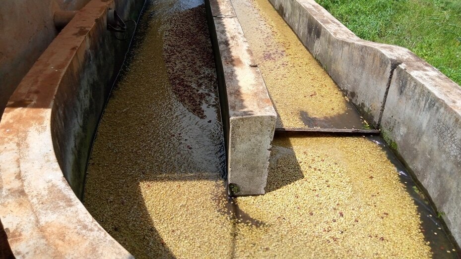 Maximizing_the_benefits_of_sustainable_wastewater_management.png