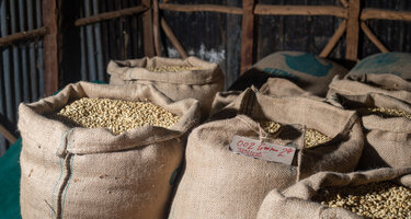 © Muse Zerih ethiopia_copyrightMuse_Zerih__16_.jpg