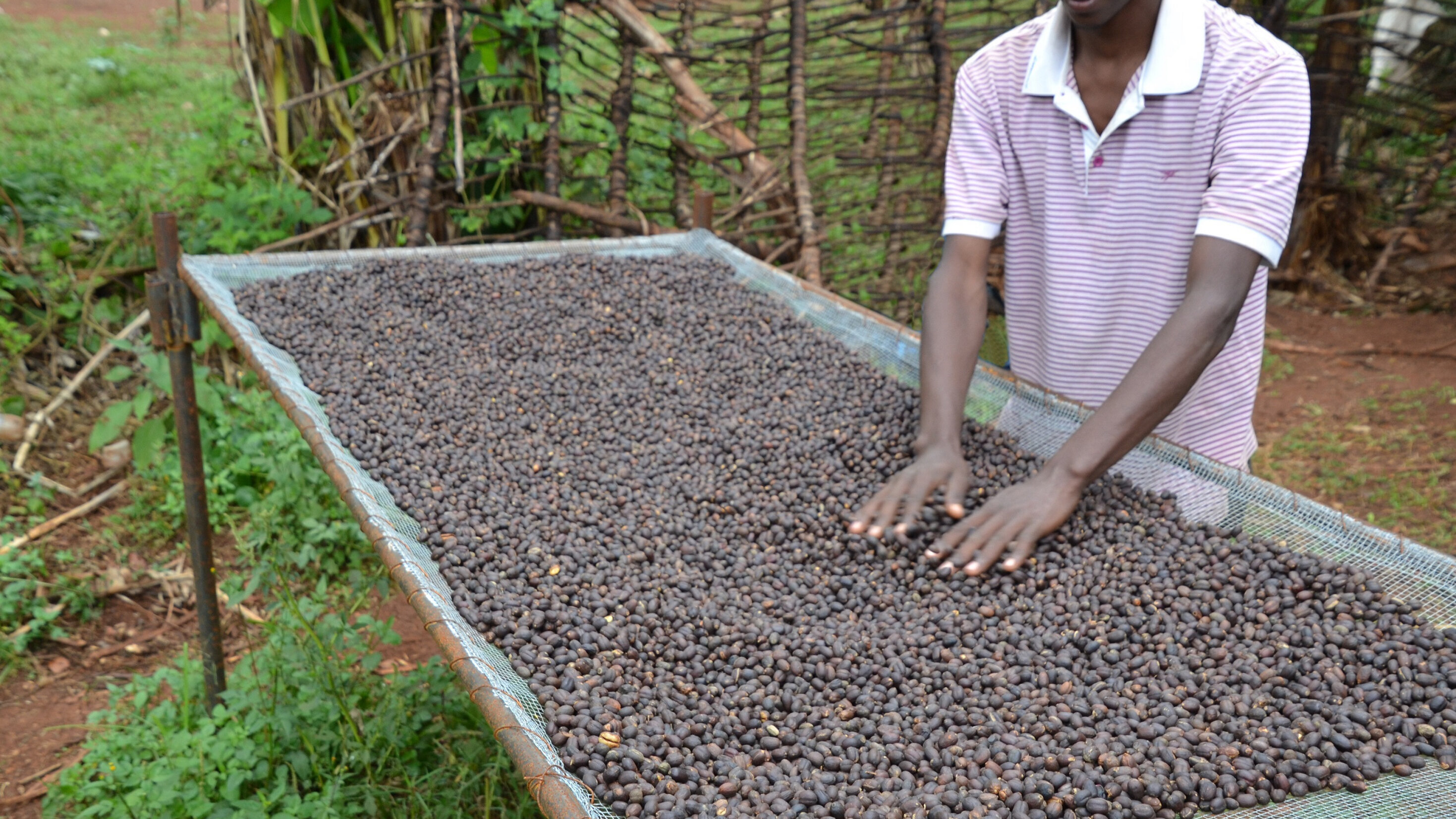 Digital_applications_to_facilitate_market_access_for_smallholders.jpg