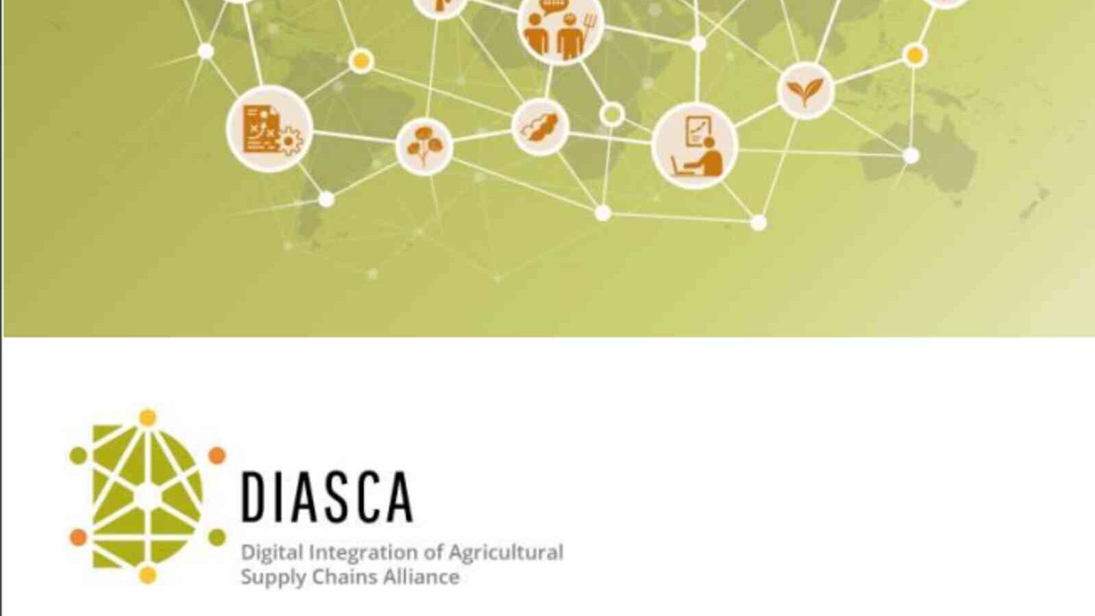 DIASCA_workshopreport.jpg