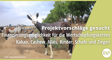 MGF_neu_DE.png