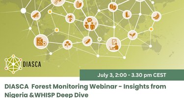 20250703_DIASCA_Webinar_Forest_Monitoring.png