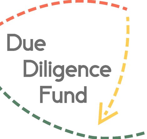 DDF_logo_RGB.png