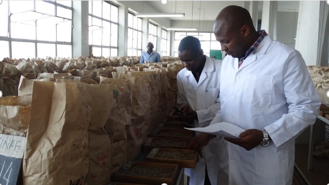 Digitizing_the_Nairobi_Coffee_Exchange.jpg