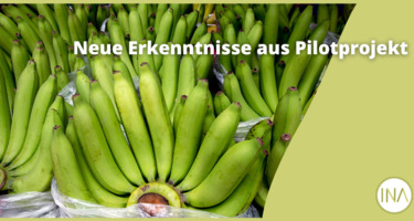 Pilotprojekt_EHAG_DE2.png