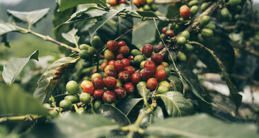 © Clara Labartino Kolumbien_Clara11__1_.jpg