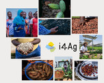 Collage_i4Ag.png