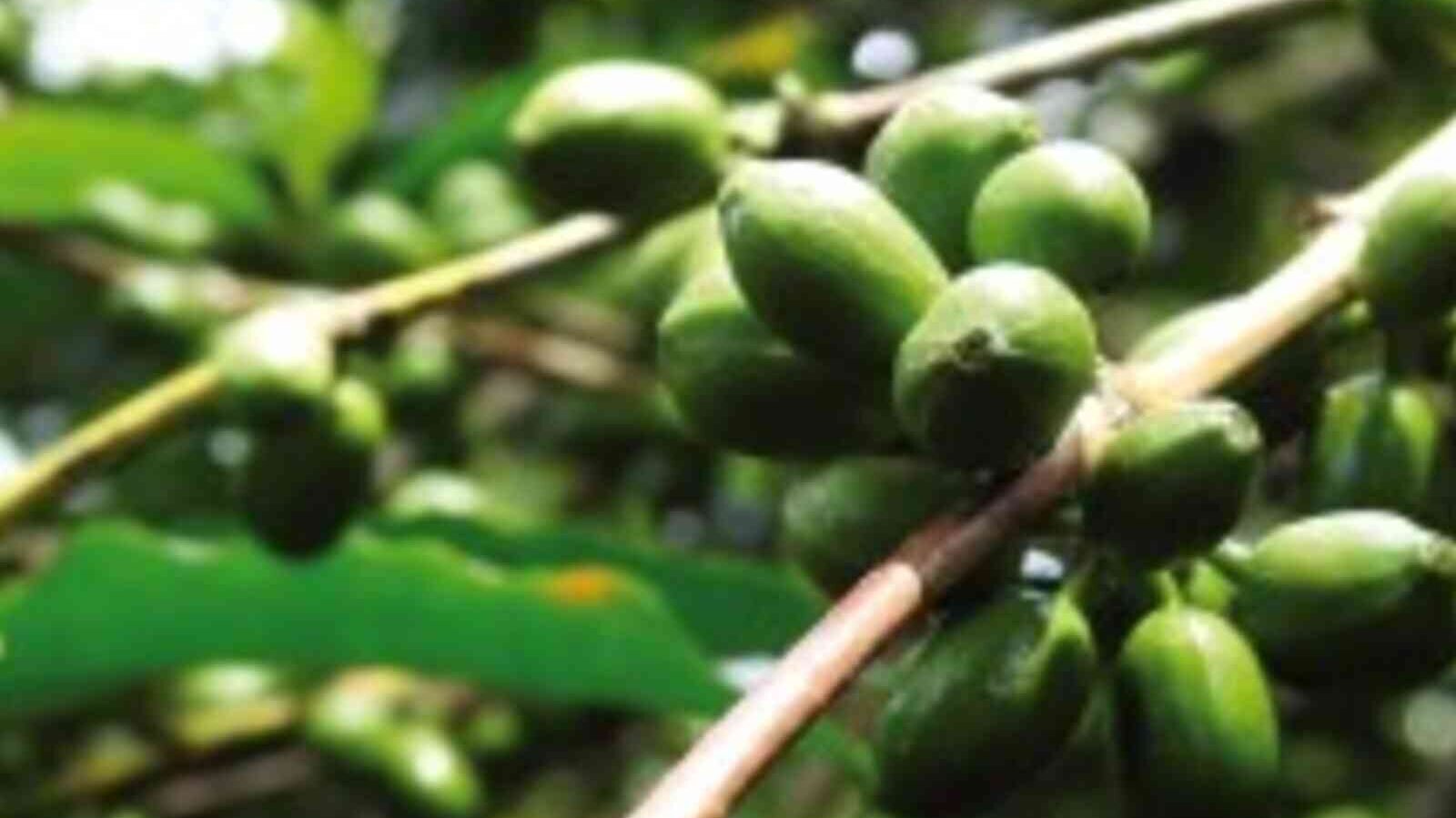 csm_Uganda_Kibinge_7efda56f8d.jpg