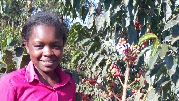 Diversifying_coffee_farm_income_through_modern_bee_farming.jpg